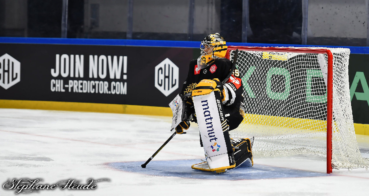 Les Dragons de Rouen en CHL